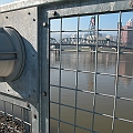 Hawthorne Caged 1